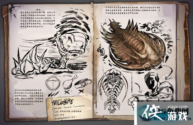 �������������Ҷ����ô���� �������������Ҷ������