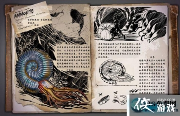 �������������ʯ��ô���� �������������ʯ����