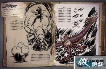 ������������������ô���� ��������������������