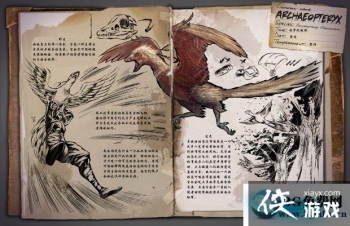 �����������ʼ������ô���� �����������ʼ��������