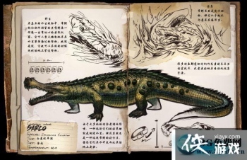 �����������������ô���� �������������������