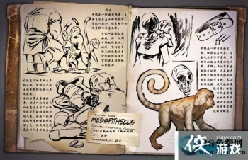 ������������к���ô���� ������������к�����