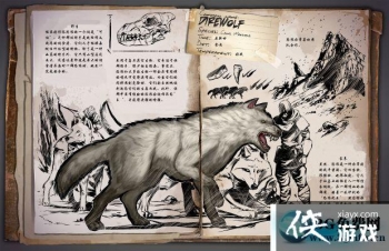 �����������������ô���� �������������������