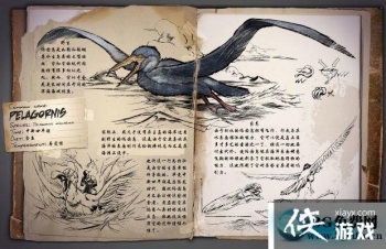 �����������α������ô���� �����������α��������