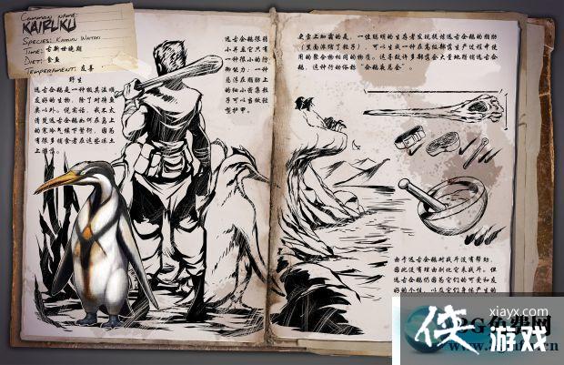 �����������Զ�������ô���� �����������Զ���������