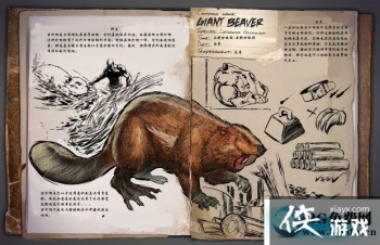 ������������޺�����ô���� ������������޺�������