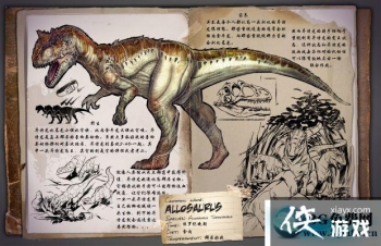 �������������������ô���� ���������������������