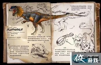 �����������˫������ô���� �����������˫��������