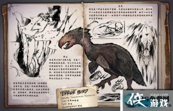 �����������������ô���� �������������������