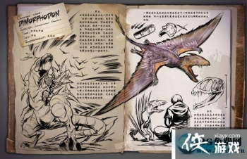 �����������˫�ͳ�������ô���� �����������˫�ͳ���������