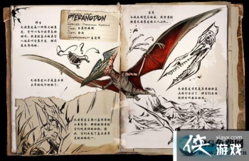 ������������޳�������ô���� ������������޳���������