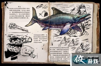 �����������������ô���� �������������������