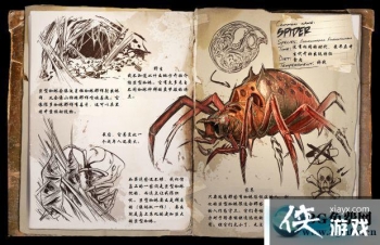 �����������֩����ô���� �����������֩������