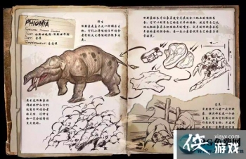 �������������������ô���� ���������������������