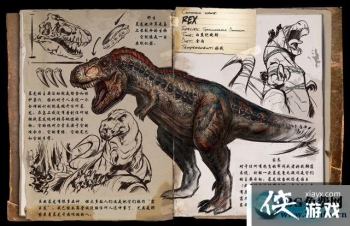 �����������������ô���� �������������������