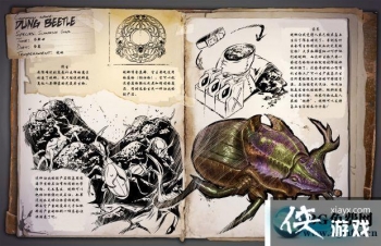 �����������������ô���� �������������������