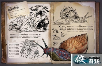 ������������������ô���� ��������������������