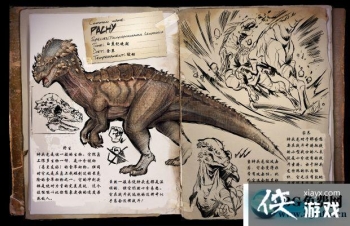 �������������ͷ����ô���� �������������ͷ������