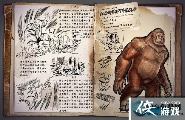 �������������Գ��ô���� �������������Գ����