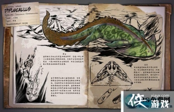 ������������������ô���� ��������������������