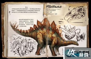 �����������������ô���� �������������������