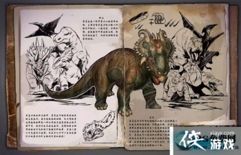 ������������������ô���� ��������������������