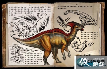 �������������������ô���� ���������������������