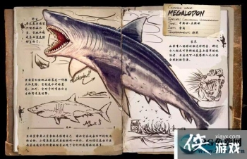 ������������޳�����ô���� ������������޳�������