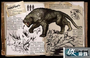 ��������������ݻ���ô���� ��������������ݻ�����