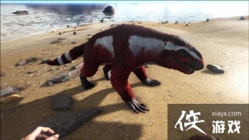 �������������ͷ����ôѱ���� �������������ͷ����ʲô�ã�