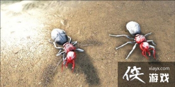 ������������������ģ� �����������������ʲô�ã�