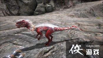 �����������˫������ôѱ���� �����������˫������ʲô��