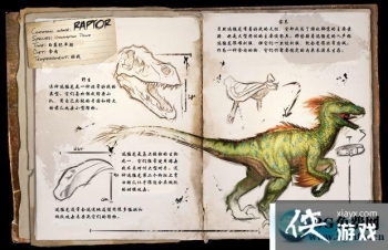 �����������Ѹ������ô���� �����������Ѹ��������