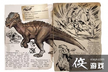 �������������ͷ����ôѱ���� �������������ͷ�����ģ�