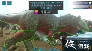 �����������������ʲô��˼�� ��������������۷���