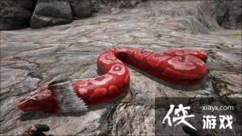 �����������̩̹������ôѱ���� �����������̩̹����ѱ������