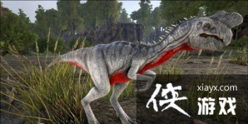 �����������͵������ôѱ���� �����������͵�������ģ�