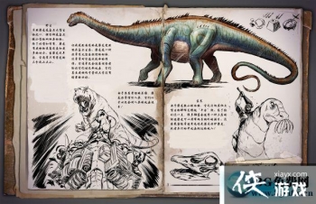 �����������������ô���� �������������������