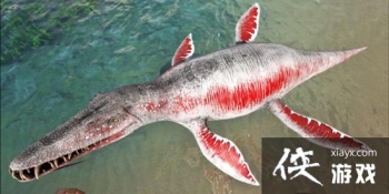 ��������������������ģ� �������������������ôѱ����