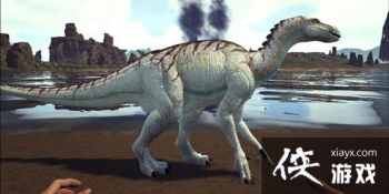 �����������������ʲô�ã� ������������������ý���