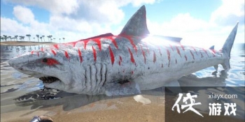 ������������޳�����ôѱ���� ������������޳����ʲô��