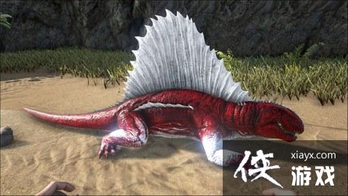 方舟生存进化异齿龙怎么驯服? 方舟生存进化异齿龙吃什么? 方舟生存进化异齿龙怎么驯服? 方舟生存进化异齿龙吃什么?