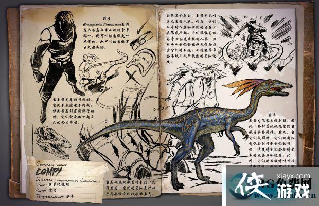 ������������������ô���� ��������������������