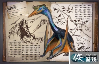 ���������������������ô���� �����������������������