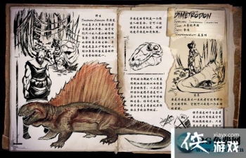 ������������������ô���� ��������������������