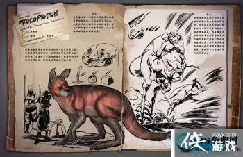 �����������������ʹ�����ô���� �����������������ʹ�������