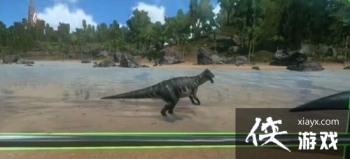 �������������צ����ôѱ���� �������������צ����ʲô��