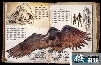 ���������������͢��ӥ��ô���� ���������������͢��ӥ����