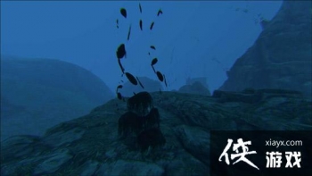 ���������������ʲô�ã� �����������������