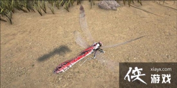 �������������������ࣿ ������������������ѷֲ�λ��